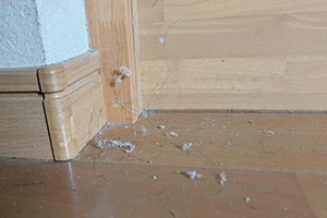 ケース③ 中古マンション（3LDK・約70㎡）／再販物件の画像