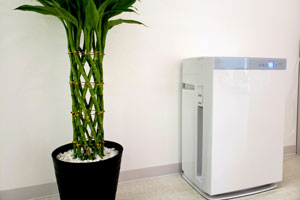 ケース② オフィス(100坪・空気清浄機5台)/共用部+会議室設置の画像