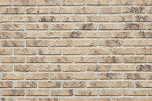 ケース④ 飲食店(路面店・約20坪)/テナントビル1階部分のみの画像