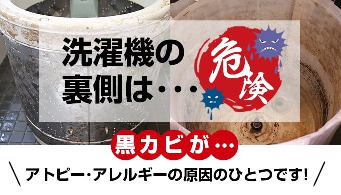 洗濯機の裏側はカビだらけ
