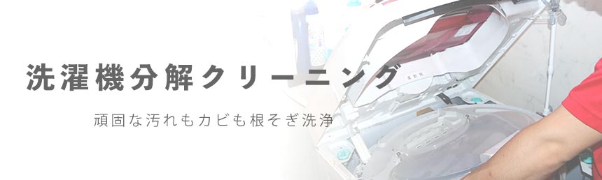 洗濯機分解クリーニング ハウスクリーニングのことならおそうじ革命 洗濯機分解クリーニング ハウスクリーニングのことならおそうじ革命