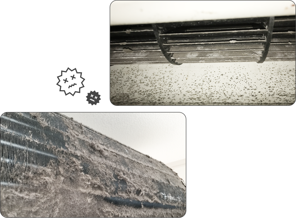 実は、エアコンの汚れの多くは 外から見えない内部にたまっています。