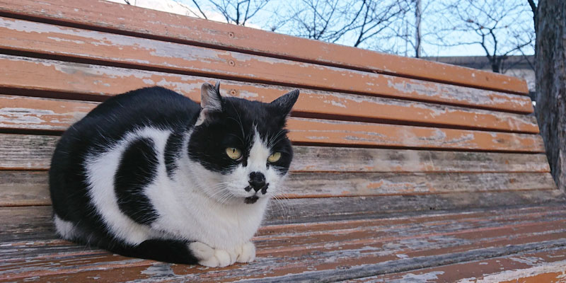 「リストラの対象になりやすいのは何年目?」勤続年数別のリスク&リストラを回避する方法