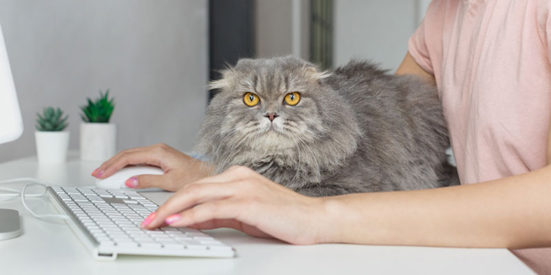 【2025年最新版】人気の福利厚生ランキング｜従業員が本当に喜ぶ制度とは？