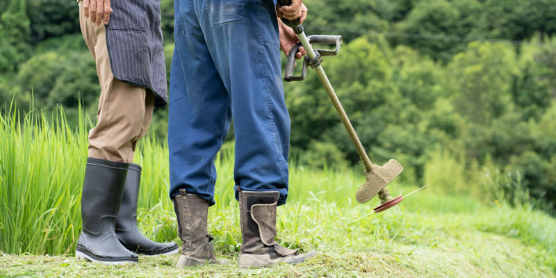 50代からでも間に合う！NISA・iDeCoで老後資金2,000万円を目指す方法とは？