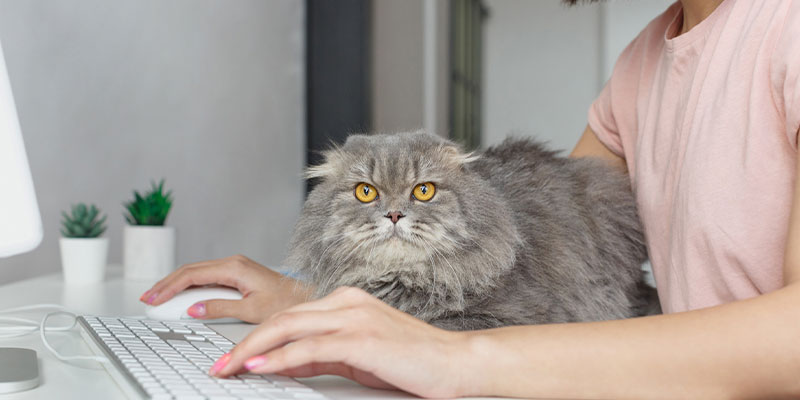 【早期退職】成功の鍵は“副収入の土台づくり”にある！早期退職のための副業の始め方やおすすめの副業ジャンル5選をご紹介！