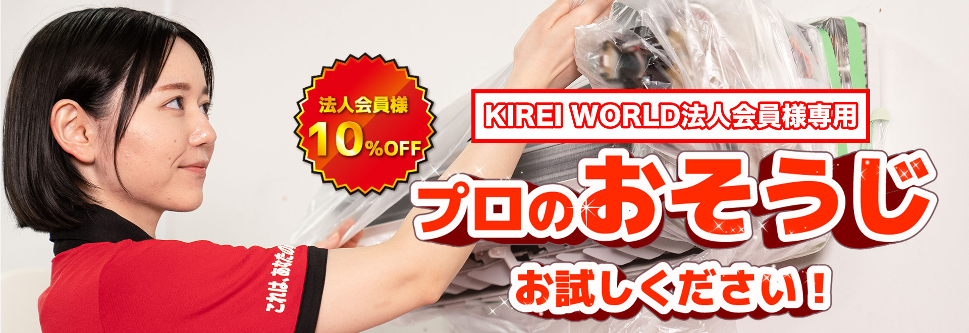 プロのお掃除お試しください