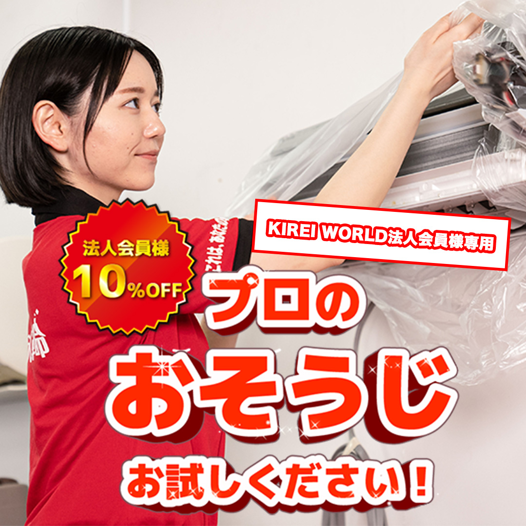 プロのお掃除お試しください